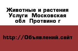 Животные и растения Услуги. Московская обл.,Протвино г.